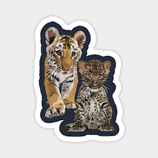 Leopard and tiger Magnet