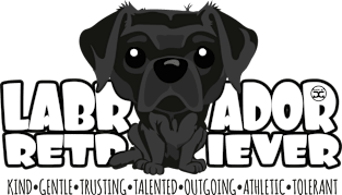 Labrador Retriever (Black) - DGBighead Magnet