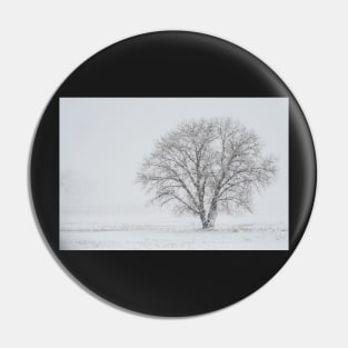 Bare Tree Pin