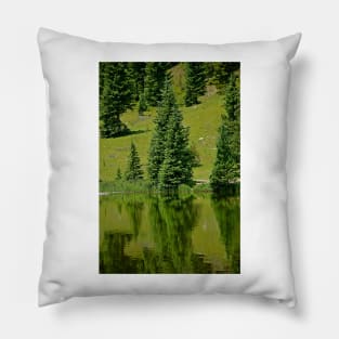 Lake Irene 2018 Study 18 Pillow