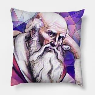 St. Jerome Pink Portrait | St. Jerome Artwork 8 Pillow