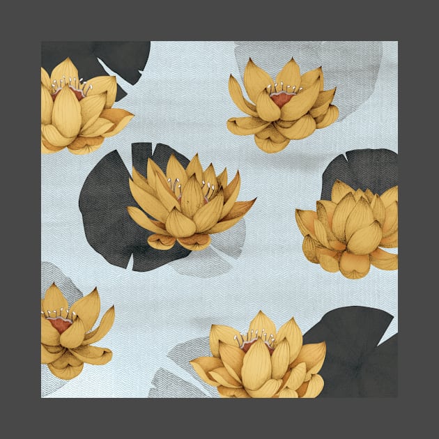 lotus flowers by KindSpirits