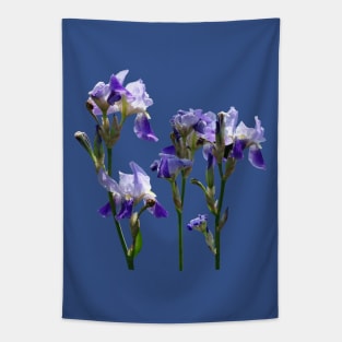 Irises - Group of Purple Irises Tapestry