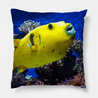 Funny Yellow Fish Pillow