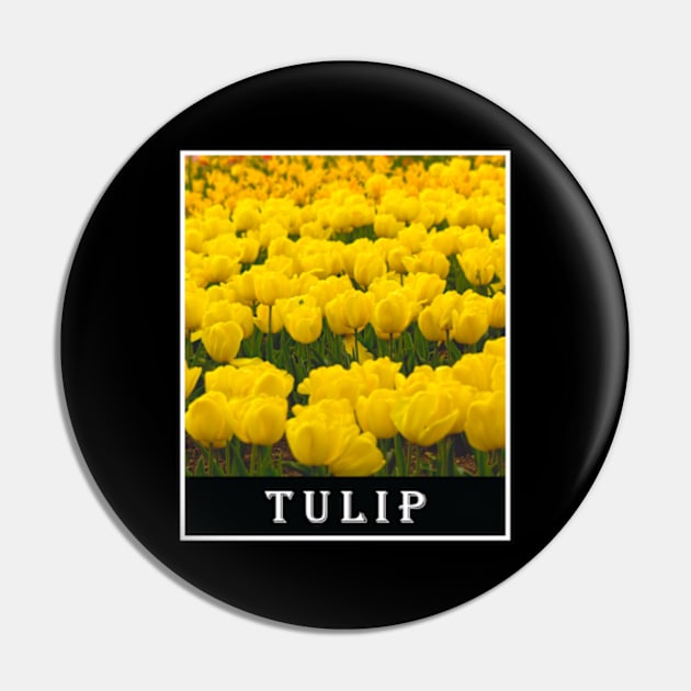 Yellow Tulip Floral Photography Pin by carlesclan