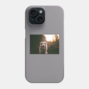 Border Collie Dream Phone Case