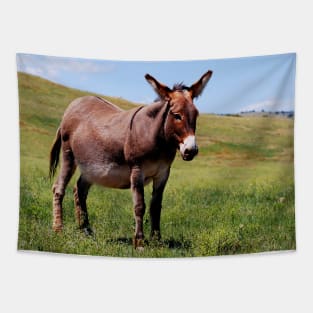 Donkey Photo Tapestry