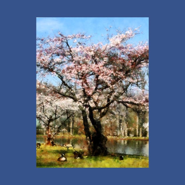 Spring - Geese Under Flowering Tree by SusanSavad