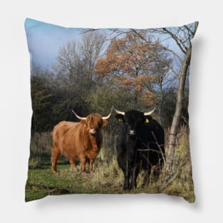 Cows Pillow