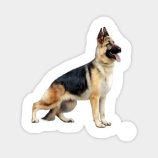 A Standing German Shepherd - Just the Dog Magnet