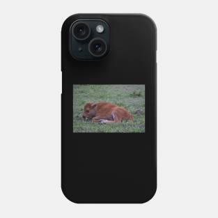 Resting Bison Calf Phone Case