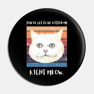 You've got to be kitten me right meow. Pin