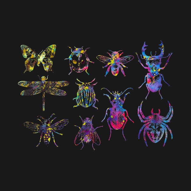 Insect Collection by erzebeth