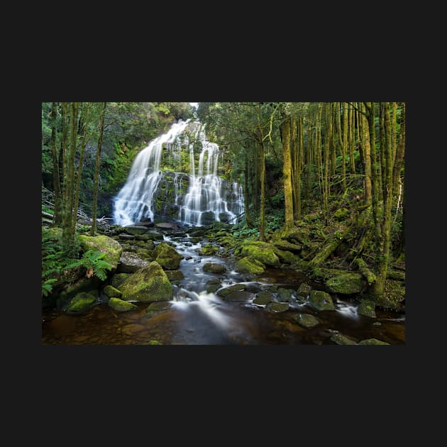 Nelson Falls, Tasmania by AndrewGoodall