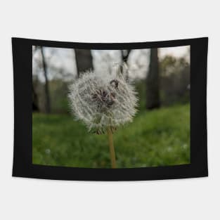 Dandelion Wishes 1 Tapestry