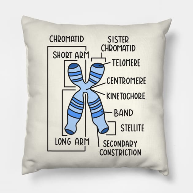 Hand Drawn Chromosome Labeled Pillow by Sofia Sava