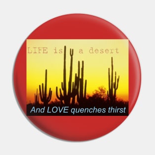 Life is a Desert Pin