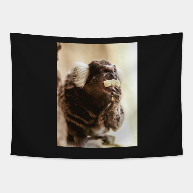 Marmoset | Unique Beautiful Travelling Home Decor | Phone Cases Stickers Wall Prints | Scottish Travel Photographer  | ZOE DARGUE PHOTOGRAPHY | Glasgow Travel Photographer Tapestry by zohams