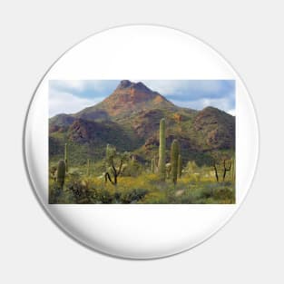 Saguaro And Teddybear Cholla Pin