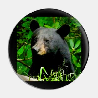 Blue Ridge Mountains Wild Black Bear Pin