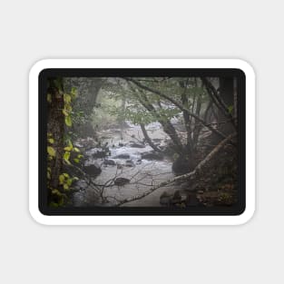 Foggy Creek Magnet