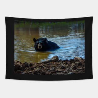 Bear Bath Tapestry