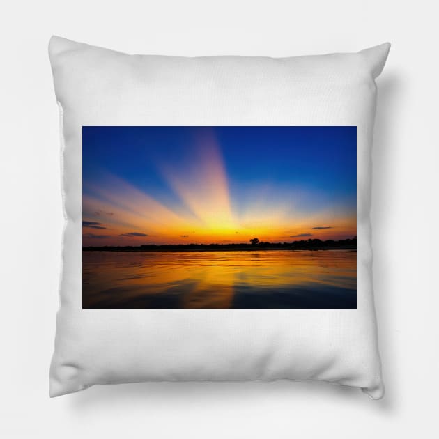 Pantanal Sunset, Brazil Pillow by GrahamPrentice