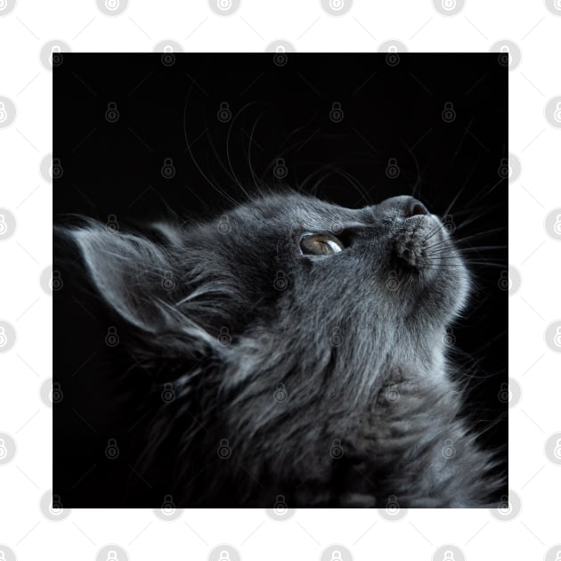 Gray Cat by ArtoTee