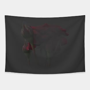 Obscured memory of roses Tapestry