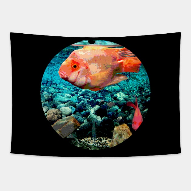 Aquarium Orange Fish Tapestry by Kikabreu