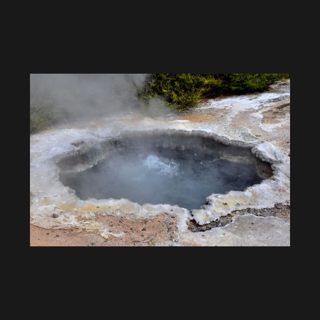 Nouvelle Zélande - Rotorua, Te Puia by franck380