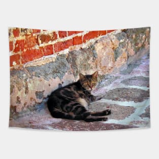 Cats - Cat Against Stone Tapestry