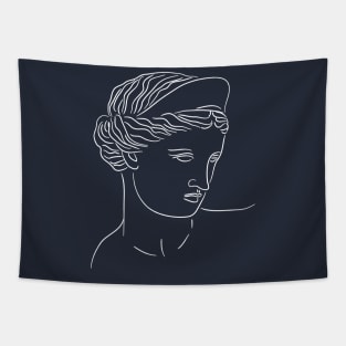 Aphrodite Greek Goddess Statue Tapestry