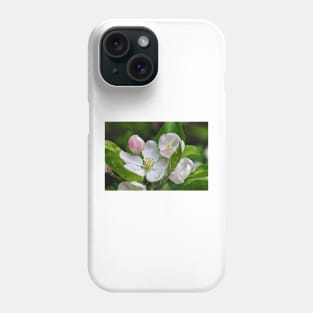 Apple Blossom Phone Case