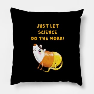 Just let Science do the Work Pillow