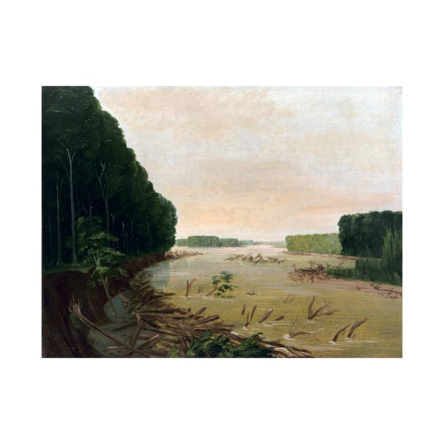 George Catlin View on the Missouri, Alluvial Banks Falling in, 600 Miles above St. Louis by pdpress