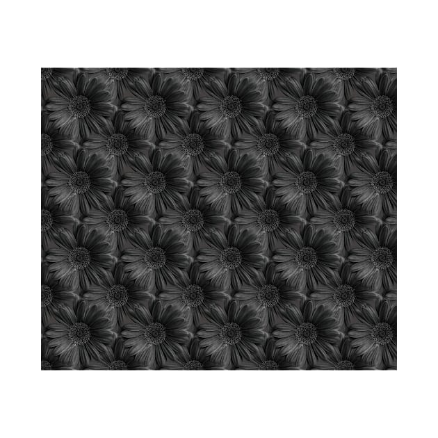 Realistic pattern of black chrysanthemums - Black swan by Hujer