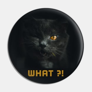 Black cat what ?! Pin