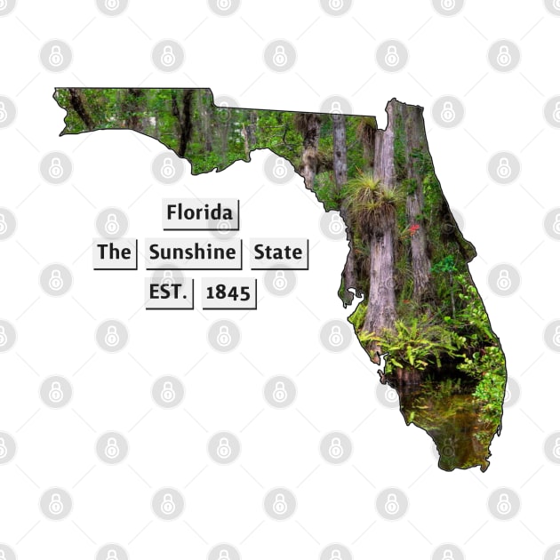 Florida USA by Designs by Dyer