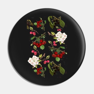 Cherries with Blossoms Pin