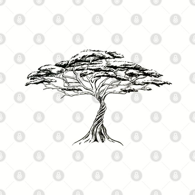 Whistling Thorn , Zen Bonsai African Tree Black and White Illustration by IrenesGoodies
