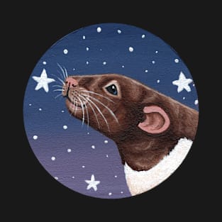 Agouti Hooded Rat Stargazing T-Shirt