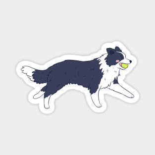 Cute running border collie Magnet