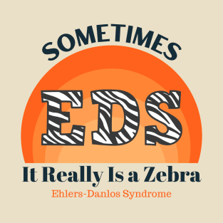 Sometimes It Really is a Zebra EDS Ehlers-Danlos Awareness T-Shirt