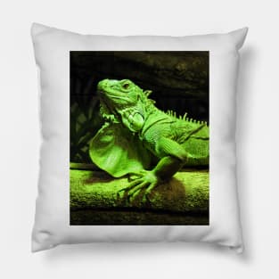 Green Iguana Pillow