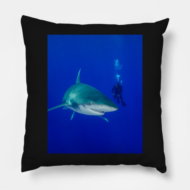 Scuba Diver and Oceanic White Tip Shark Pillow by jbbarnes