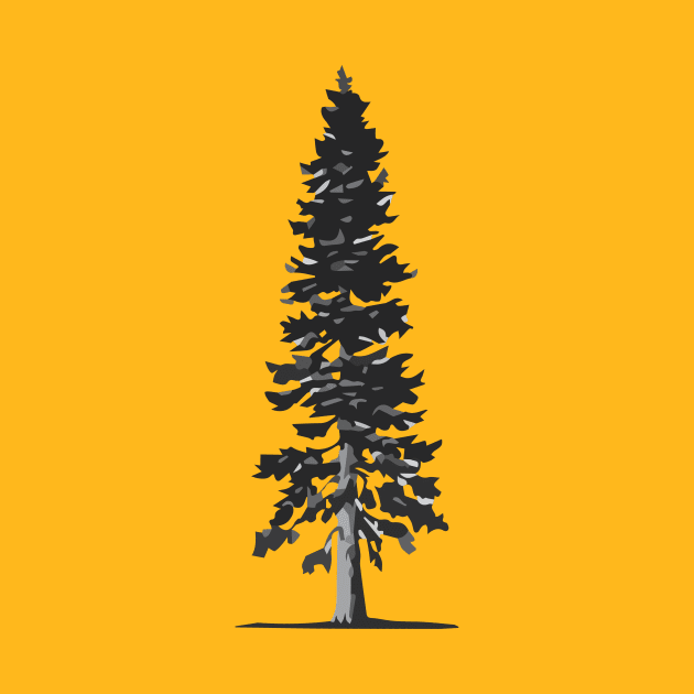 Gray Douglas Fir by user0415