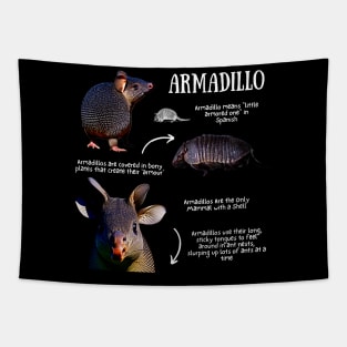 Armadillo Fun Facts Tapestry