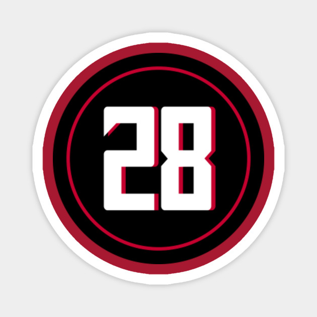 jordan number 28