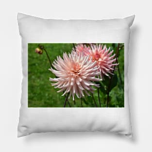 Real Beautiful Flowers outside Pillow